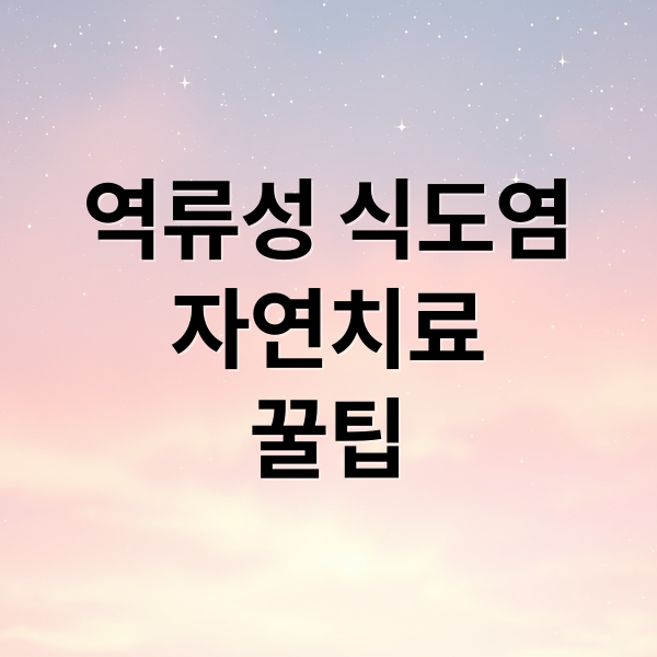 역류성 식도염 자연치료 꿀팁