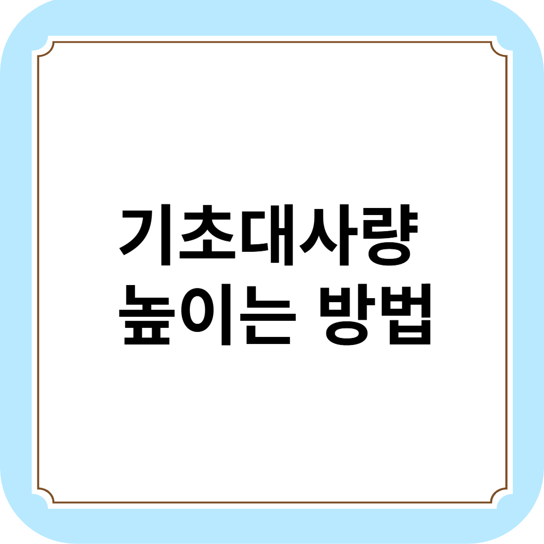 기초대사량 높이는 5가지 방법
