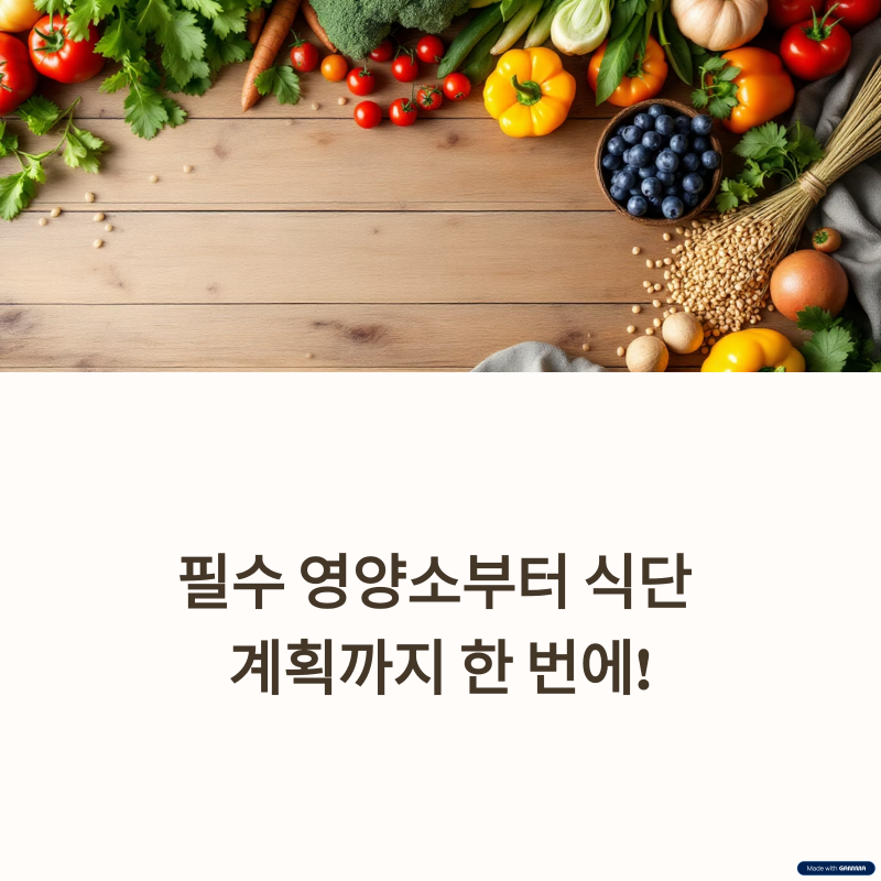 필수 영양소 식단 계획