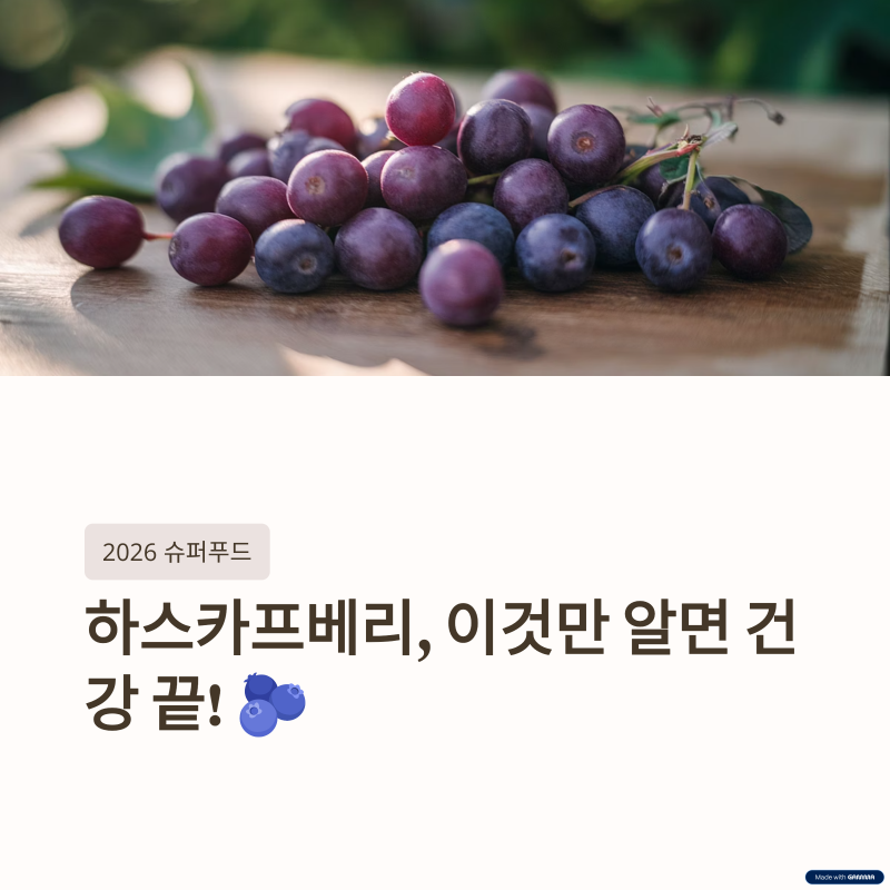 하스카프베리 모든것