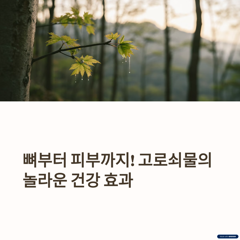 고로쇠물의 놀라운 건강효과