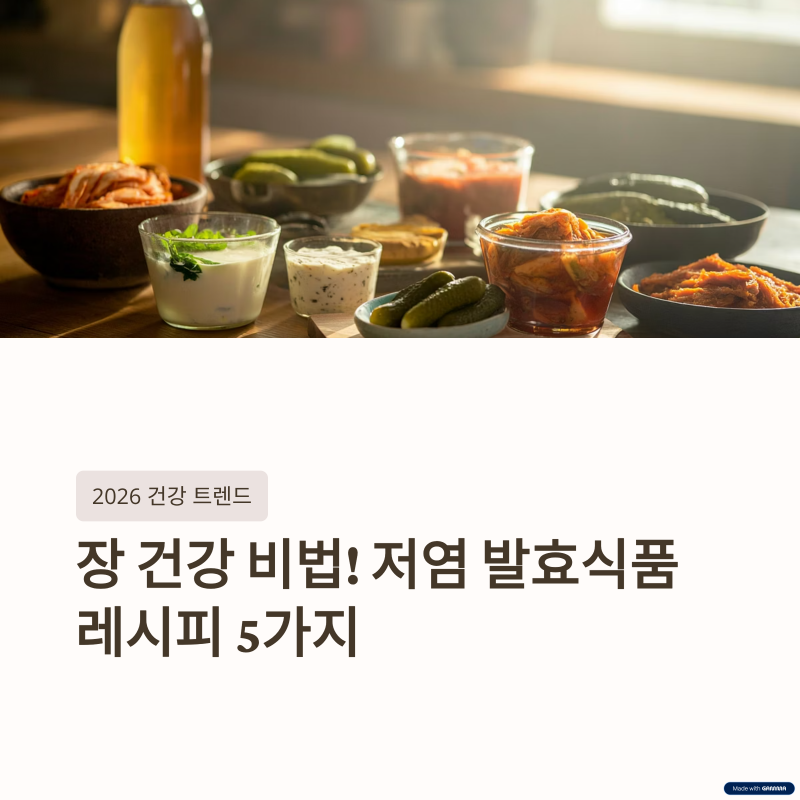 장 건강 비법